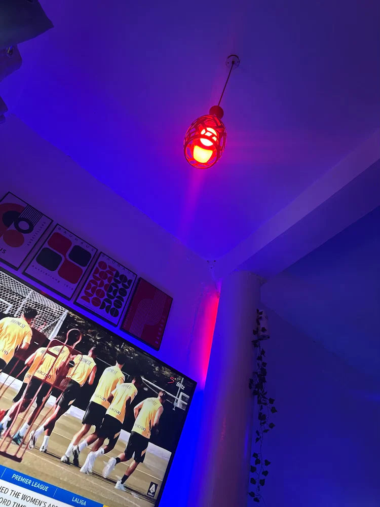 Homegard.es